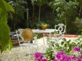 Tranquil gardens at Hibiscus House
