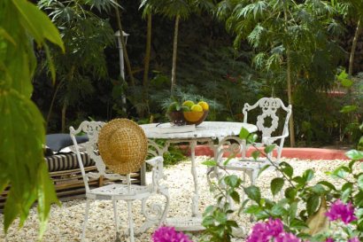 Tranquil gardens at Hibiscus House