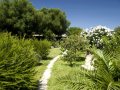 Villa Grounds