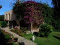 Hotel Grounds