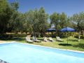 Pool and Grounds