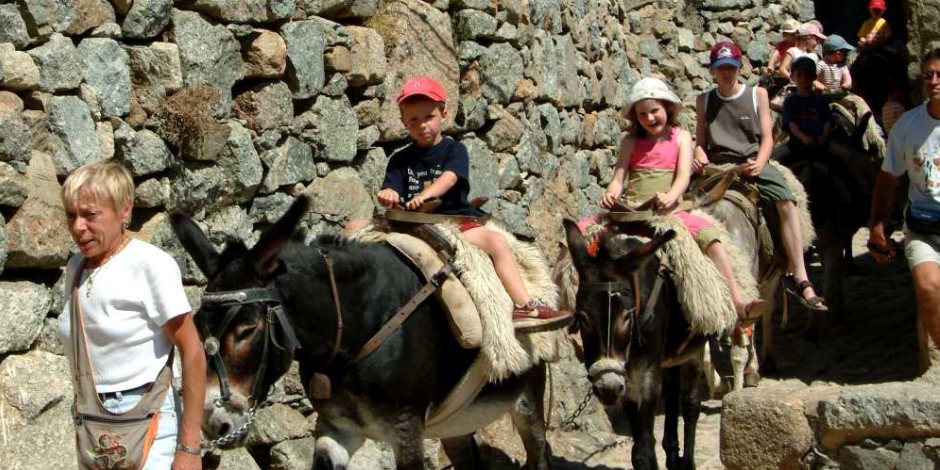 Donkey Trekking in Corsica Donkey Trekking in Corsica