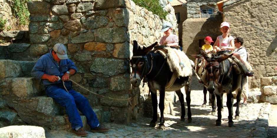 Donkey Riding in Corsica Donkey Riding in Corsica