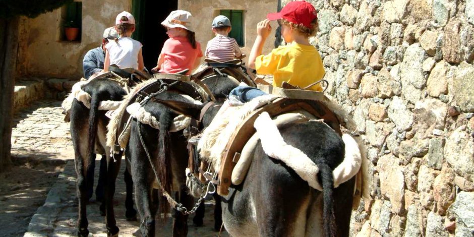 Donkey excursion Donkey excursion