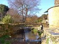 Grounds