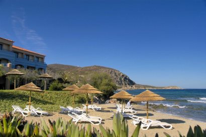 Beach and Grounds