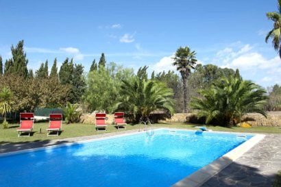 Pool Area/Grounds