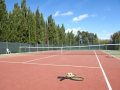 Tennis court