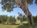 Villa Grounds