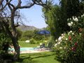 Grounds and pool area