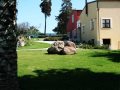 Hotel and Grounds