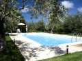 Pool area and grounds