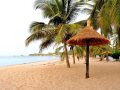 Saly