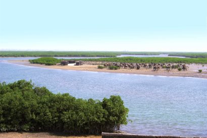 Rivers of West Africa cruise