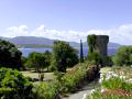 The grounds