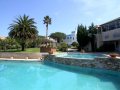 Pool Area & Grounds