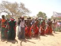 Jola Festival