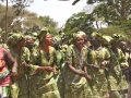 Jola Festival