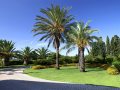 Grounds