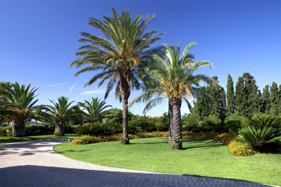 Grounds