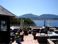 Terrace Views