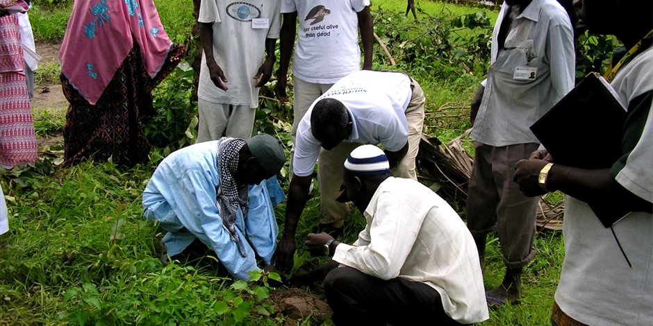 carbon offset scheme carbon offset scheme