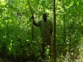 Community Tree Planting
