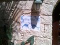 Orquidea Guest House
