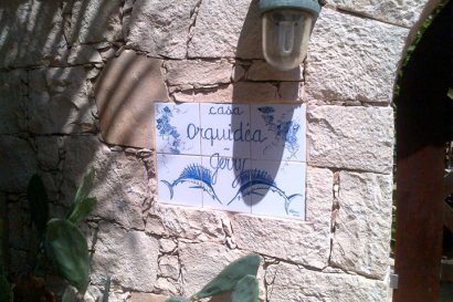 Orquidea Guest House
