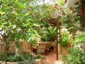 Orquidea Guest House