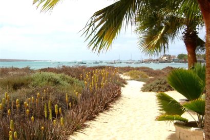 Walkway to Beach