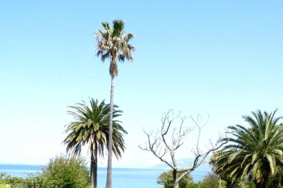 Hotel Grounds