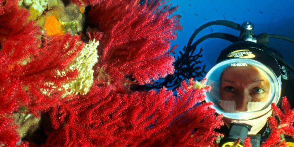 Diving in Corsica © imagebroker / Alamy Diving in Corsica © imagebroker / Alamy