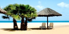 Summer 2013 Offers