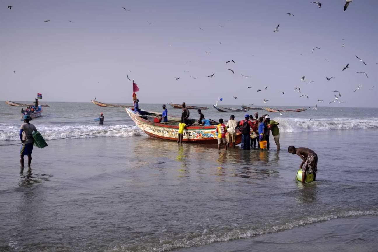 New pictures from The Gambia