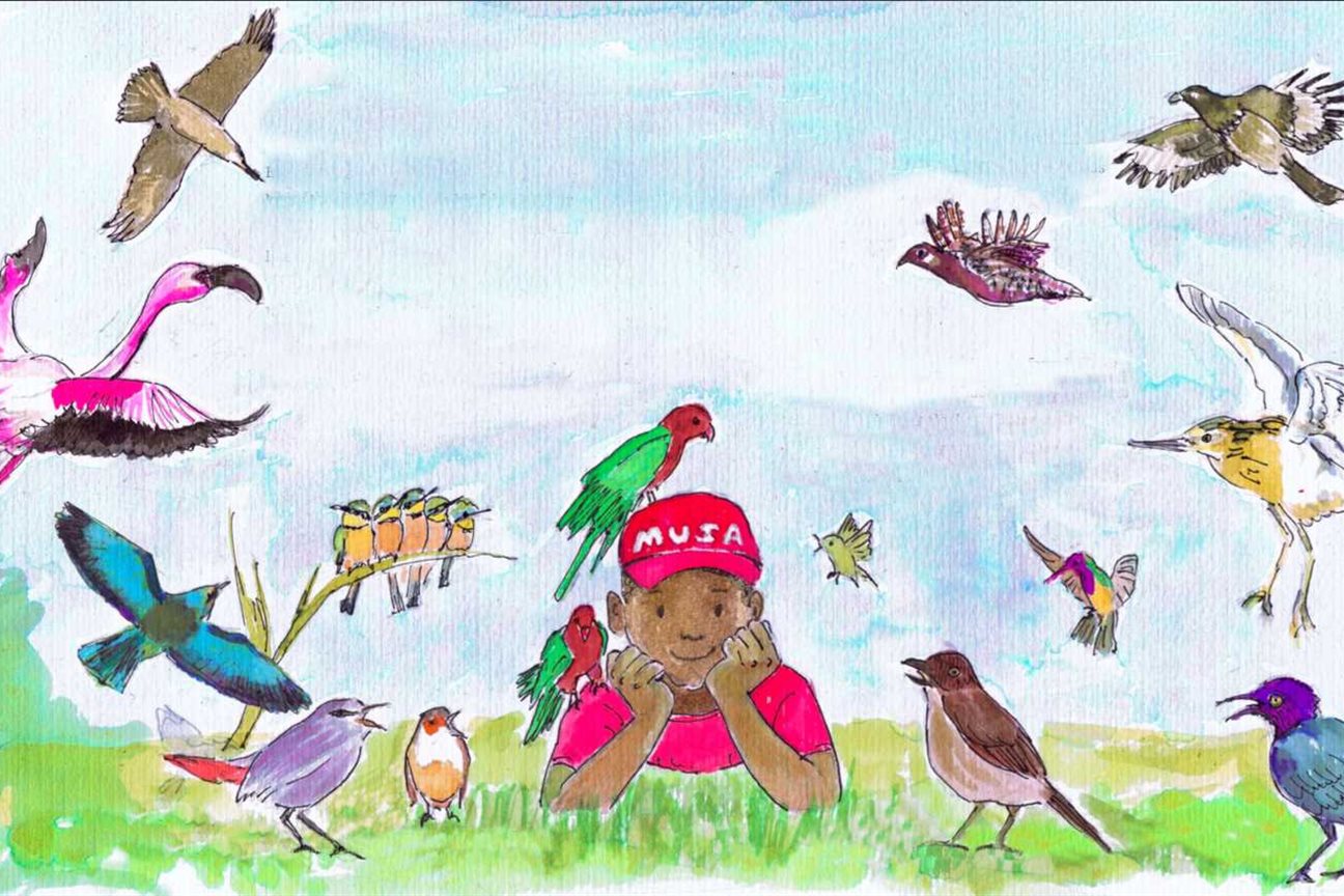 An exciting new children's book, set in The Gambia