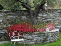 Grounds