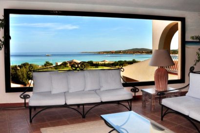 Terrace Views